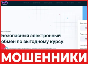 WmCurrency лицевая сторона скрин