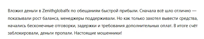 Zenithglobalfx 3 скрин