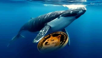 Киты снова в деле: Dogecoin на подъёме после крупных покупок