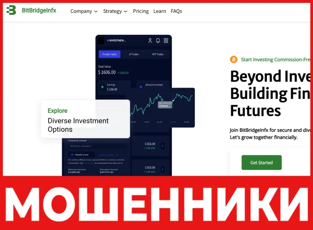 BitBridgeInfx лицевая сторона скрин