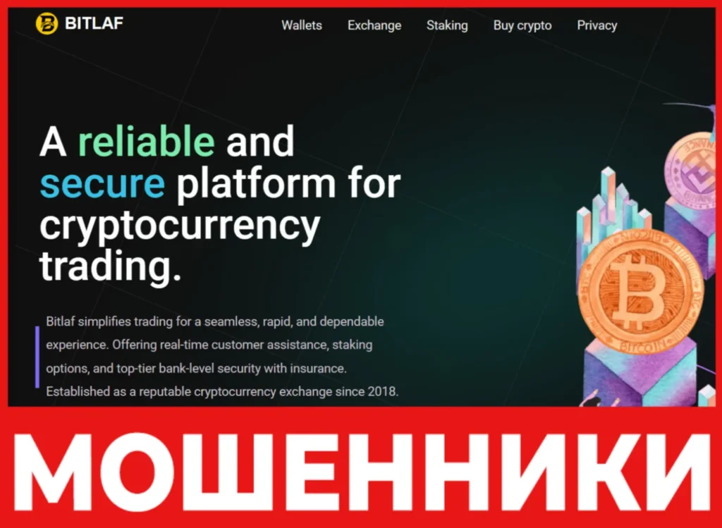 Bitlaf лицевая сторона скрин