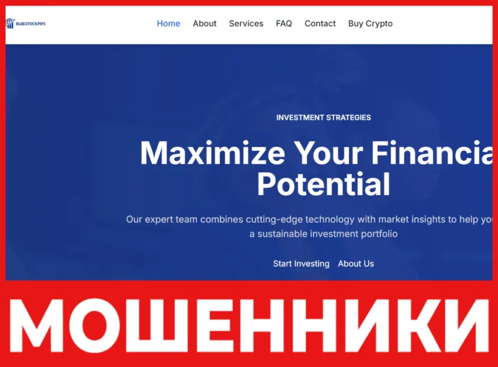 BlueStockPips лицевая сторона скрин