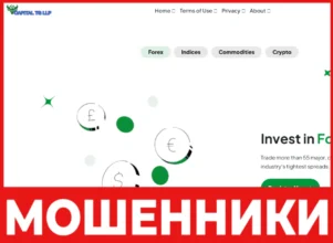 Capital TG LLP лицевая сторона скрин
