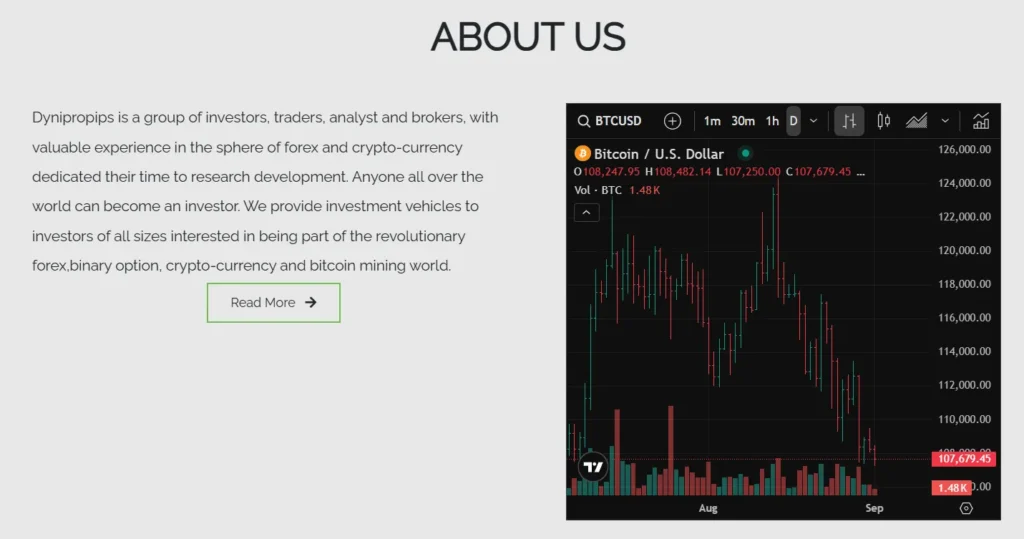 Dynipropips 1 скрин