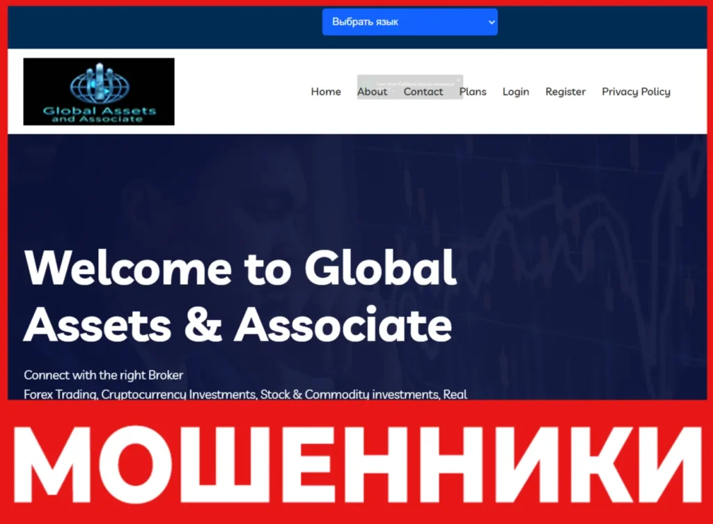 Global Assets & Associate лицевая сторона скрин