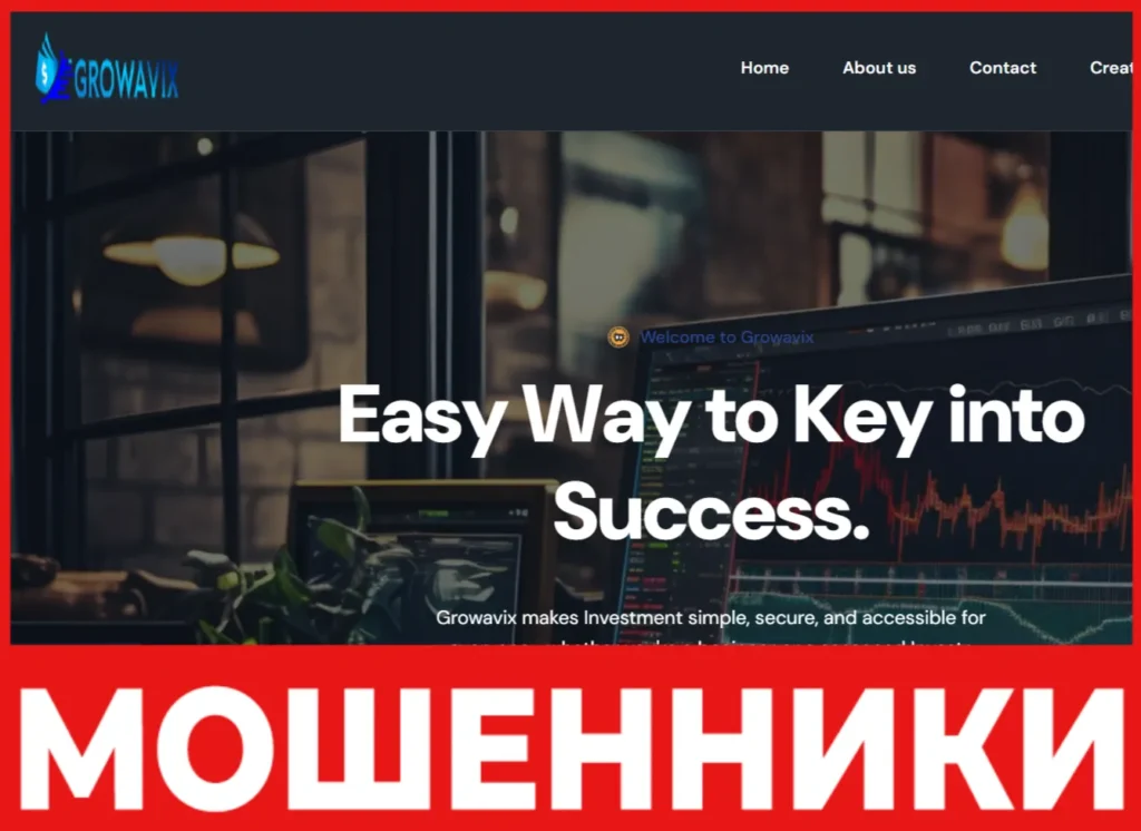 Growavix лицевая сторона скрин