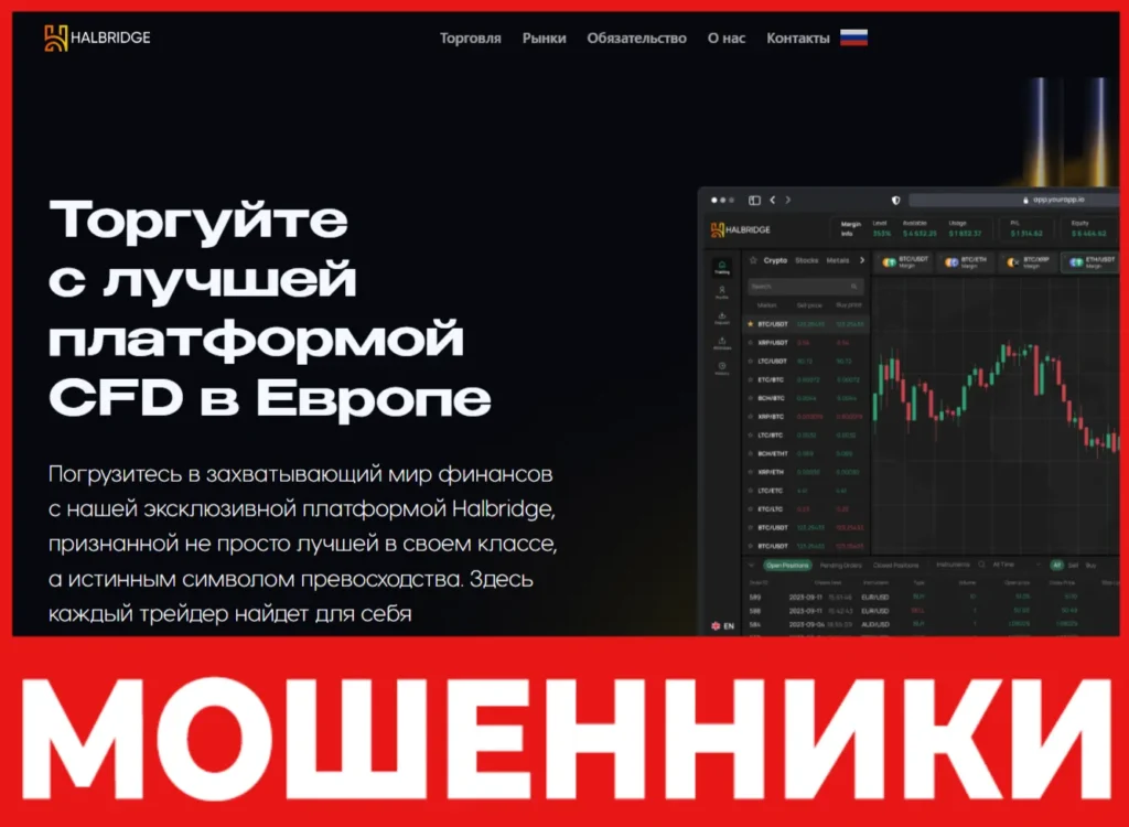 Halbridge лицевая сторона скрин