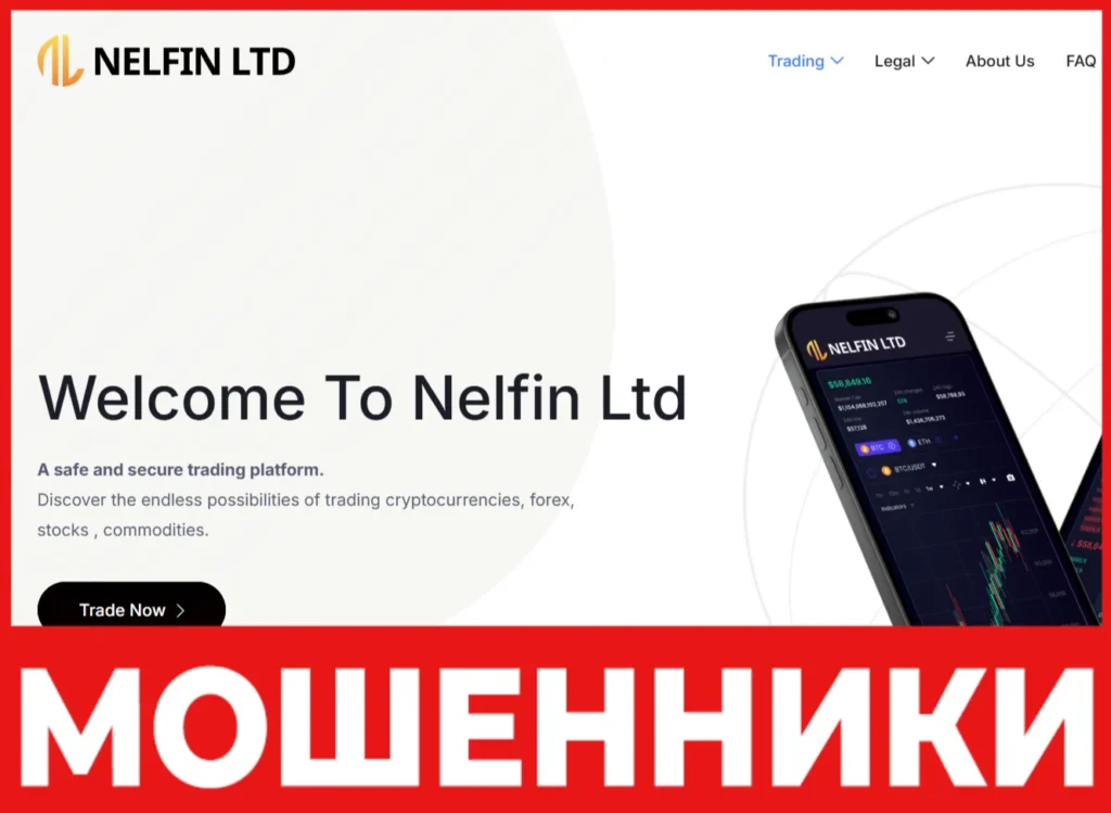 Nelfin Ltd лицевая сторона скрин