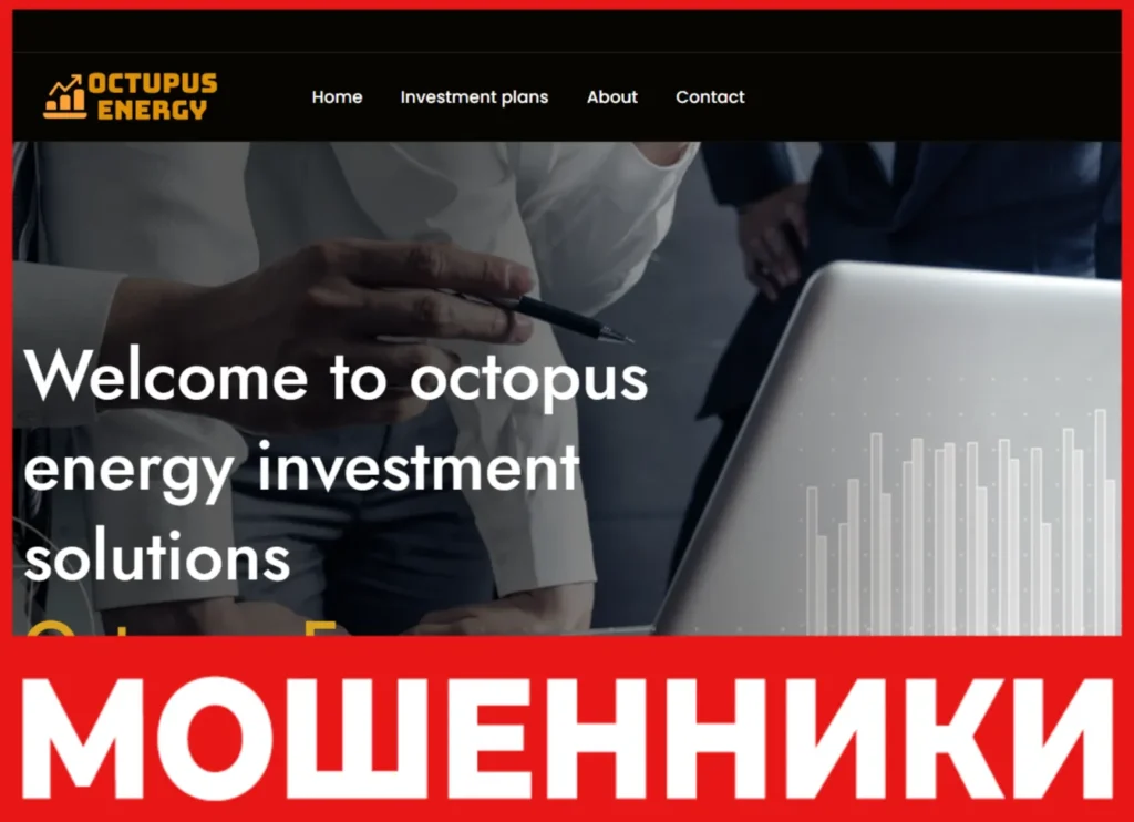 Octopus Energy лицевая сторона скрин