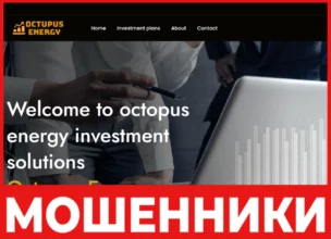 Octopus Energy лицевая сторона скрин