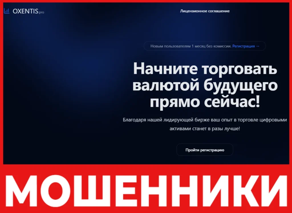 Oxentis лицевая сторона скрин