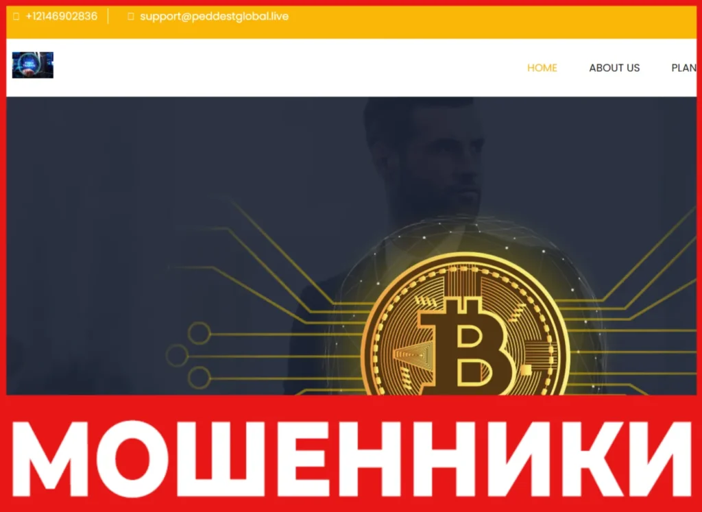 PeddestGlobal лицевая сторона скрин