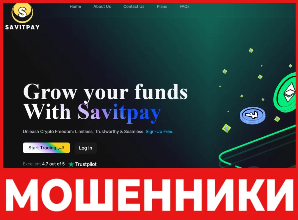 Savitpay лицевая сторона скрин