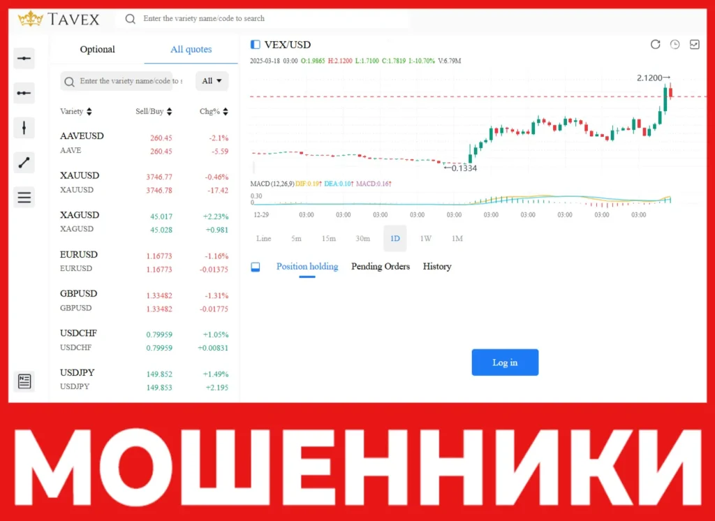 Tavex лицевая сторона скрин