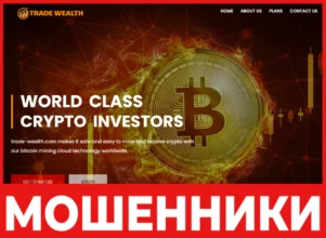 Trade Wealth лицевая сторона скрин