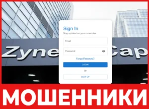 Zynexis Capital лицевая сторона скрин