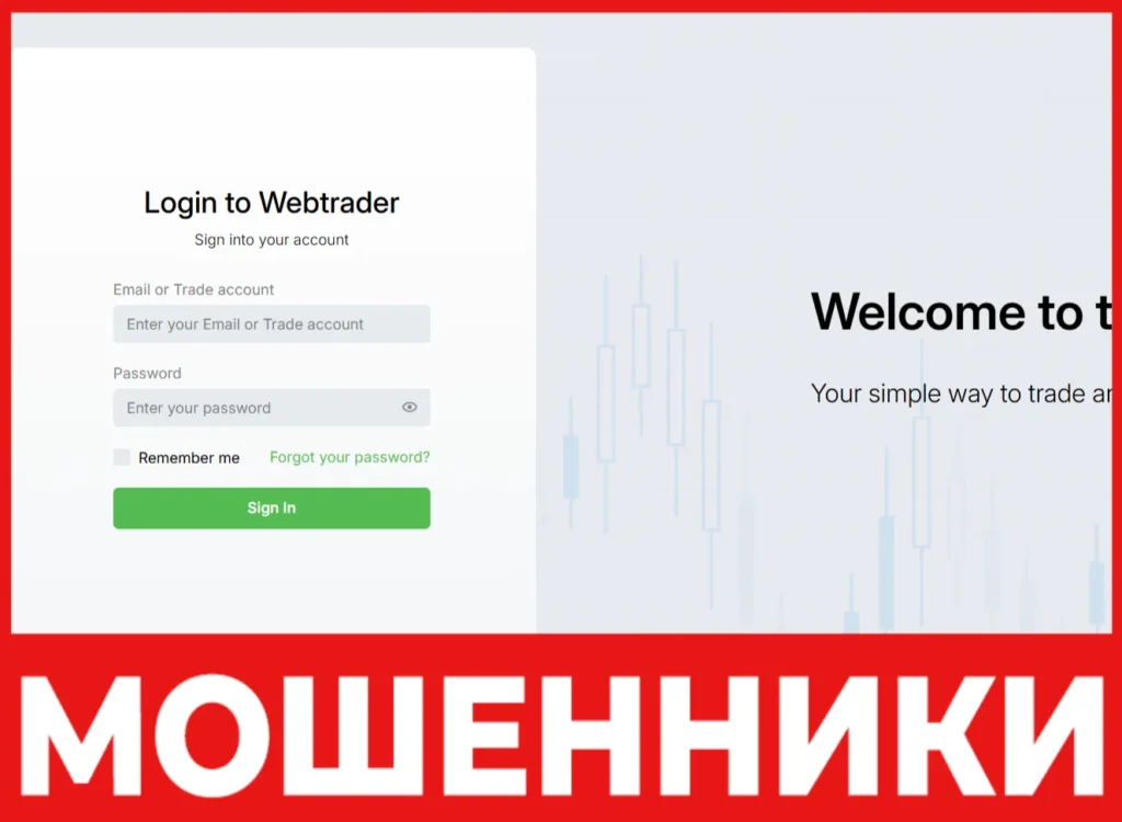 Black Hedge Trade лицевая сторона скрин