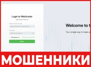 Black Hedge Trade лицевая сторона скрин