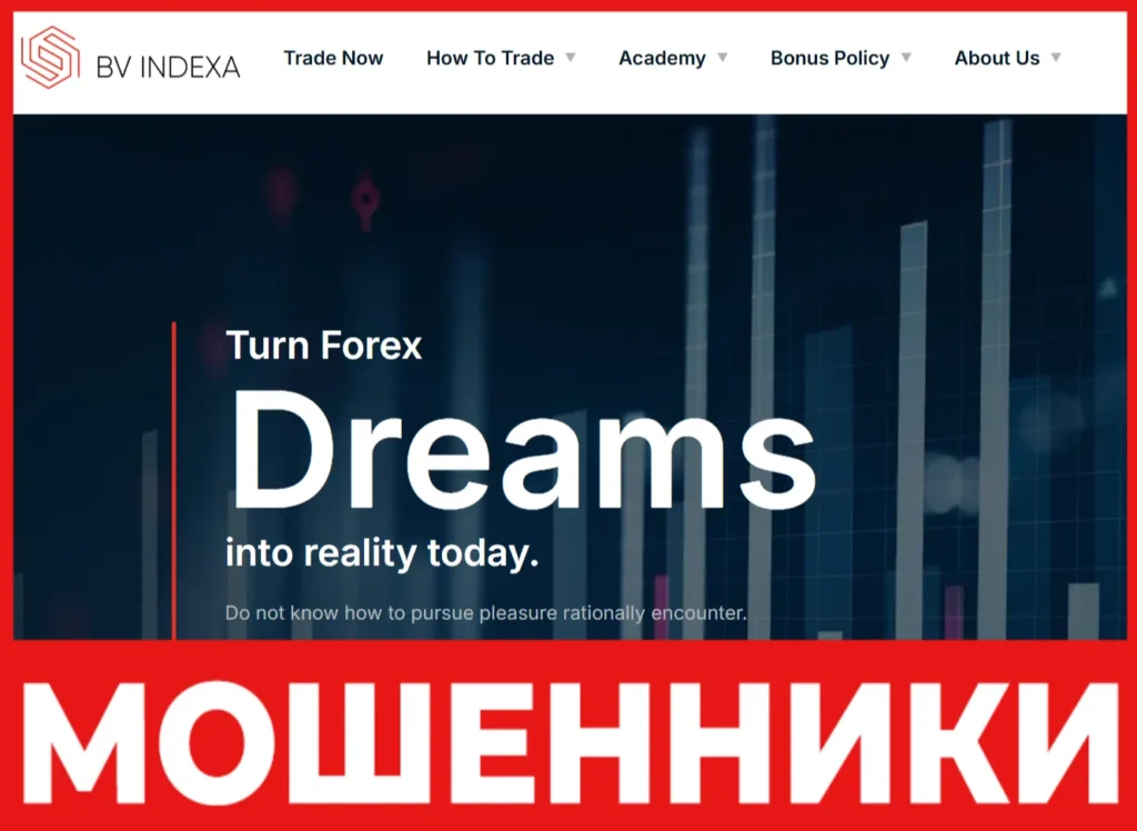 BV Indexa лицевая сторона скрин