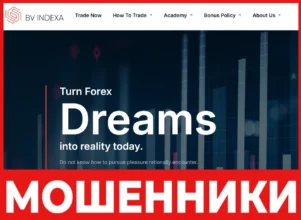 BV Indexa лицевая сторона скрин