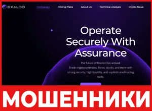 Exaldo лицевая сторона скрин