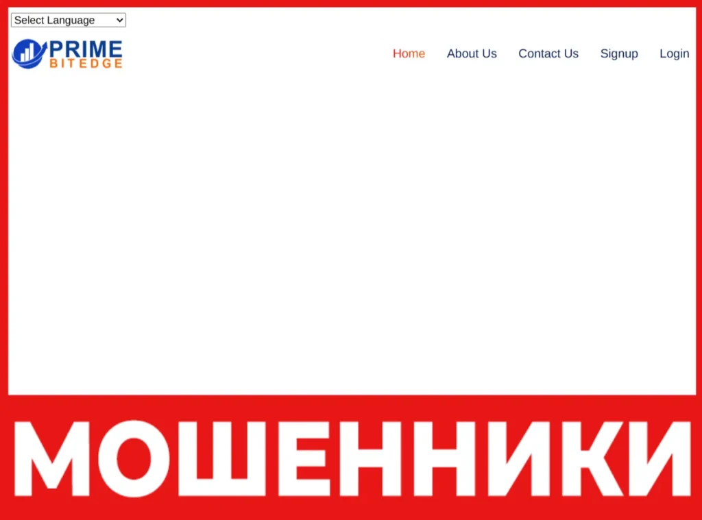 Primebitedge лицевая сторона скрин