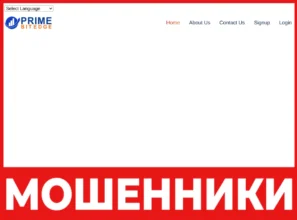 Primebitedge лицевая сторона скрин