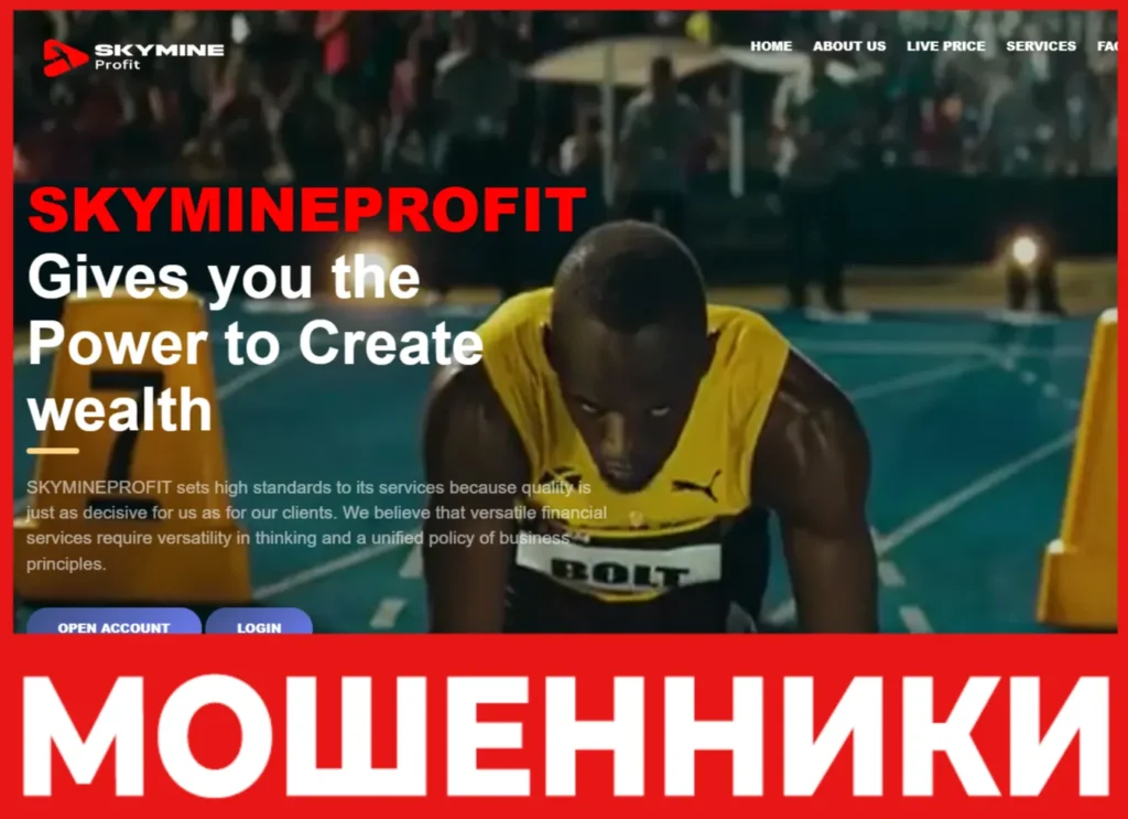 SKYMINEPROFIT лицевая сторона скрин