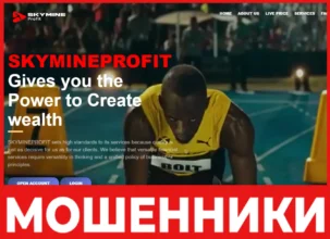 SKYMINEPROFIT лицевая сторона скрин