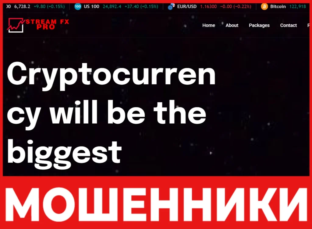 Stream FX Pro лицевая сторона скрин