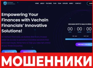 Vechain Financials лицевая сторона скрин