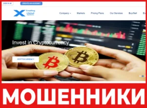 X-tradeglobaloptions лицевая сторона скрин