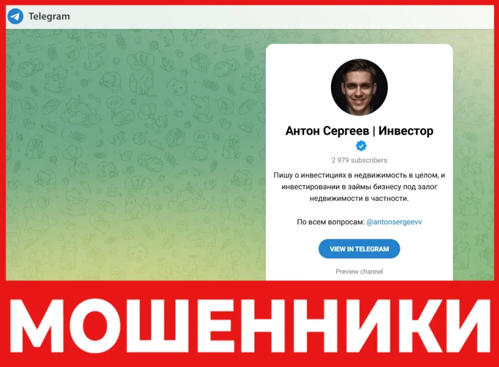 Антон Сергеев Инвестор лицевая сторона скрин