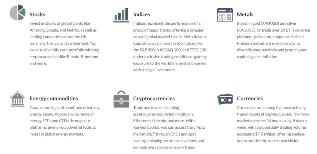 Raynex Capital 1 скрин