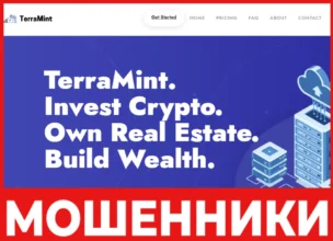 TerraMint лицевая сторона скрин