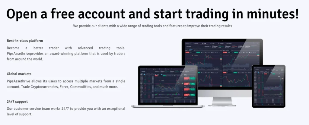 PipsAssethrive 2 скрин