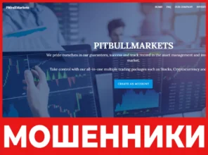 PitbullMarkets лицевая сторона скрин
