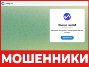 Revenue Support лицевая сторона скрин