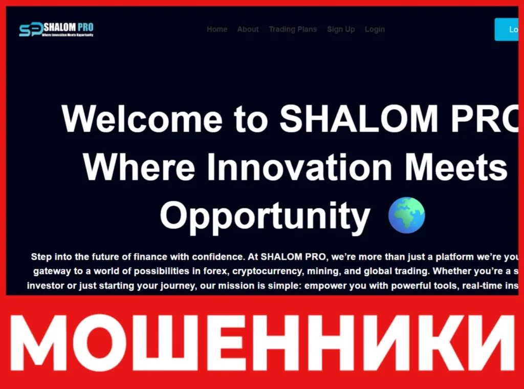 SHALOM PRO лицевая сторона скрин