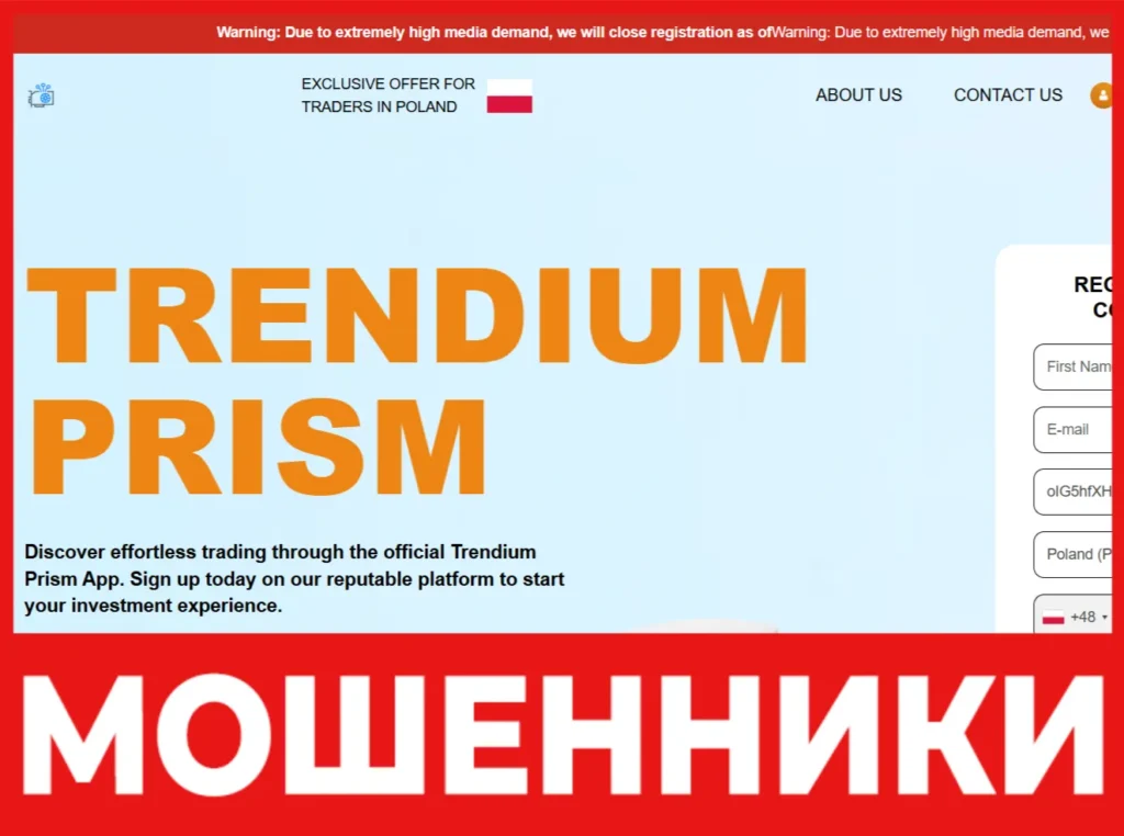 Trendium Prism лицевая сторона скрин