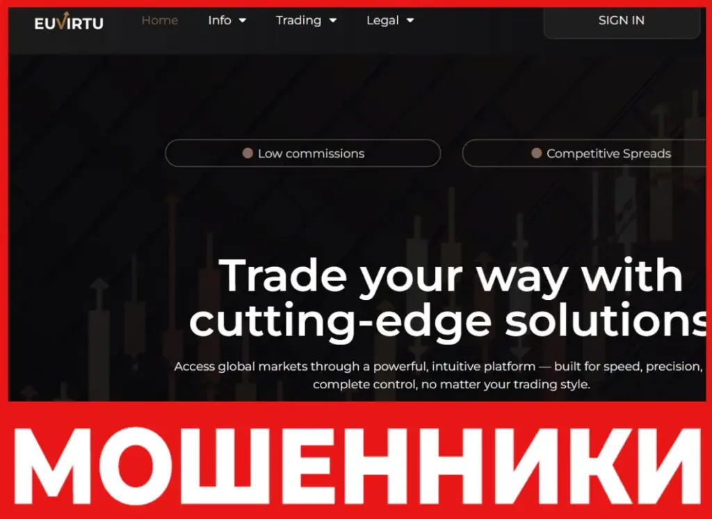 Euvirtu лицевая сторона скрин