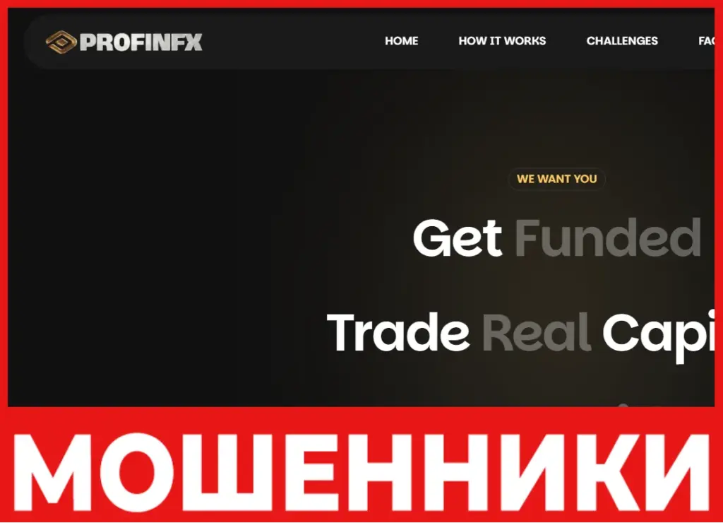 ProfinFXGlobal лицевая сторона скрин
