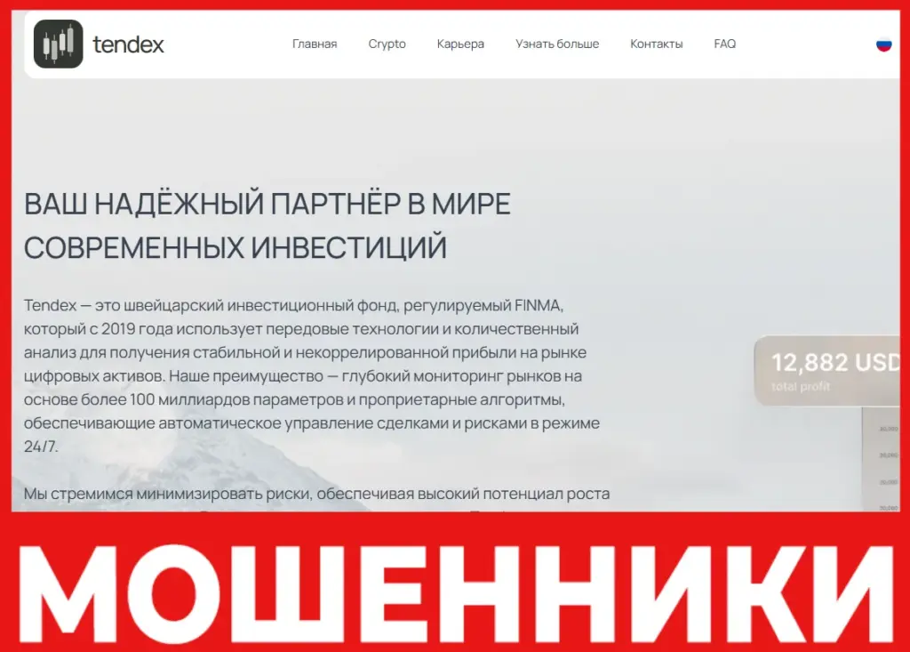 Tendex лицевая сторона скрин