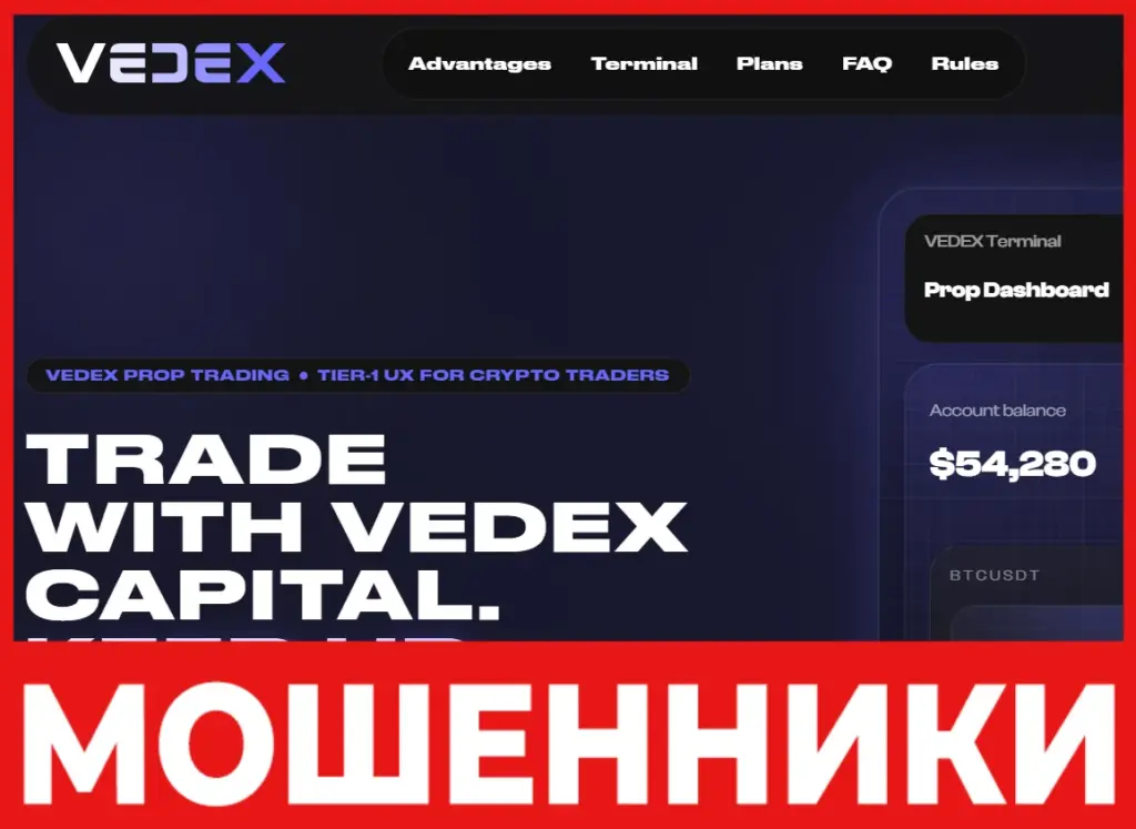 Vedex лицевая сторона скрин
