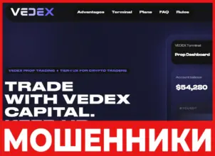 Vedex лицевая сторона скрин