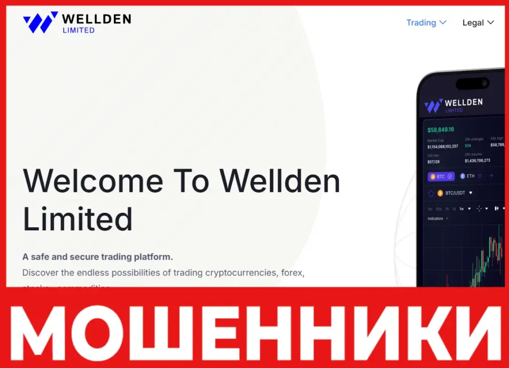 Wellden Limited лицевая сторона скрин