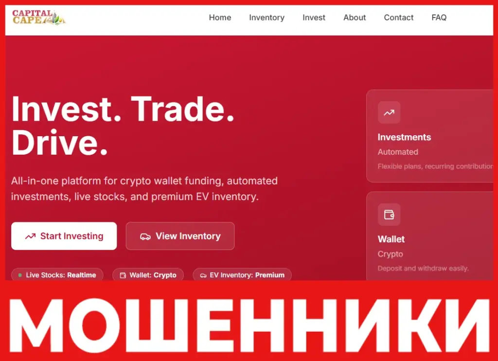 Capital Cape лицевая сторона скрин