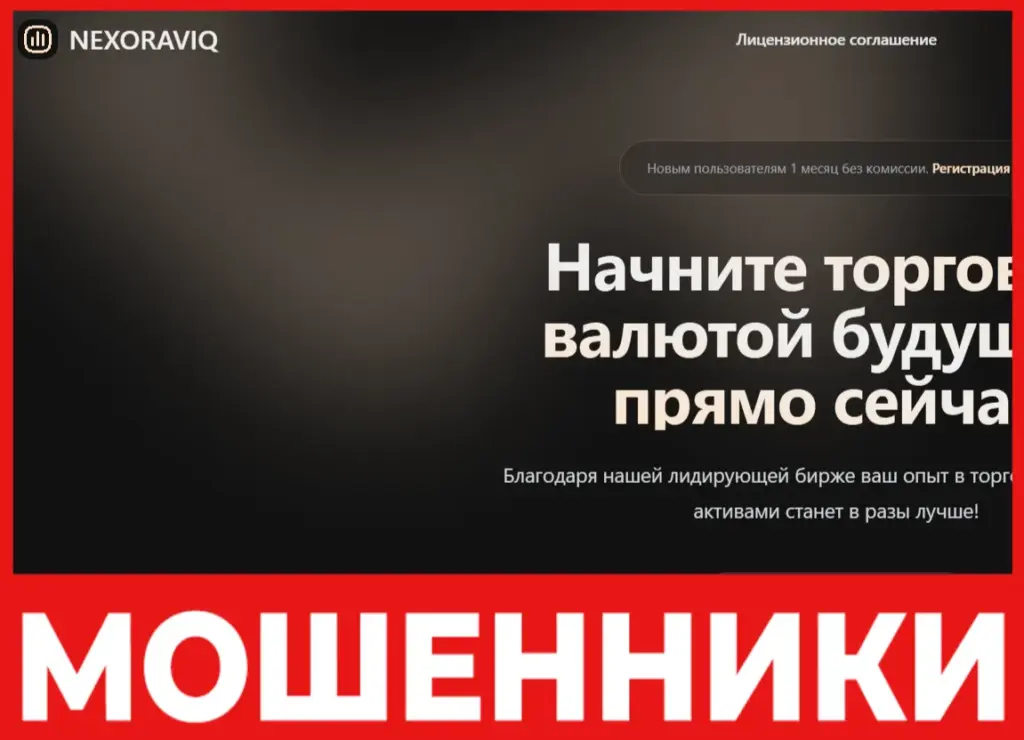 Nexoraviq лицевая сторона скрин