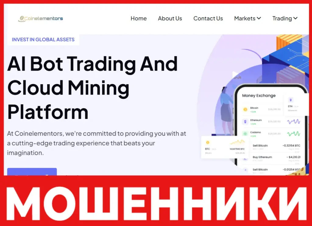 Coinelementors лицевая сторона скрин