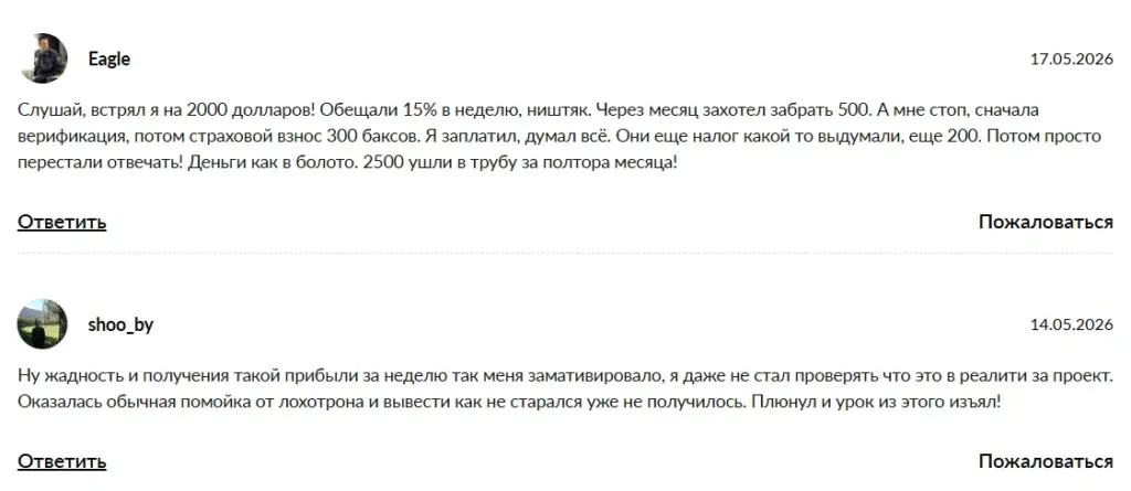Elite Bridge Networks_1 скрин